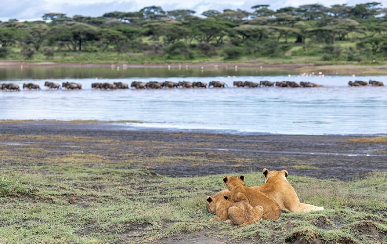 Songa Tented Camp_5