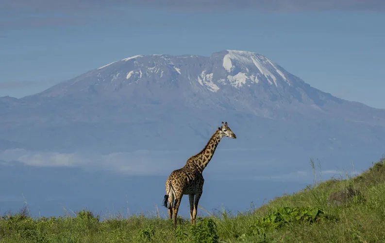 Songa Tented Camp_5