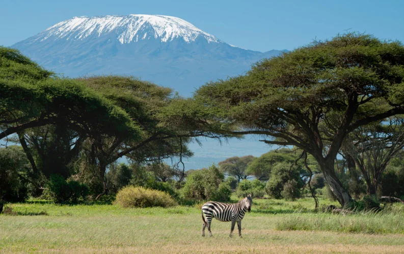 Songa Tented Camp_5